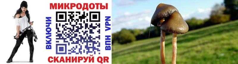 Галлюциногенные грибы мицелий  Давлеканово 